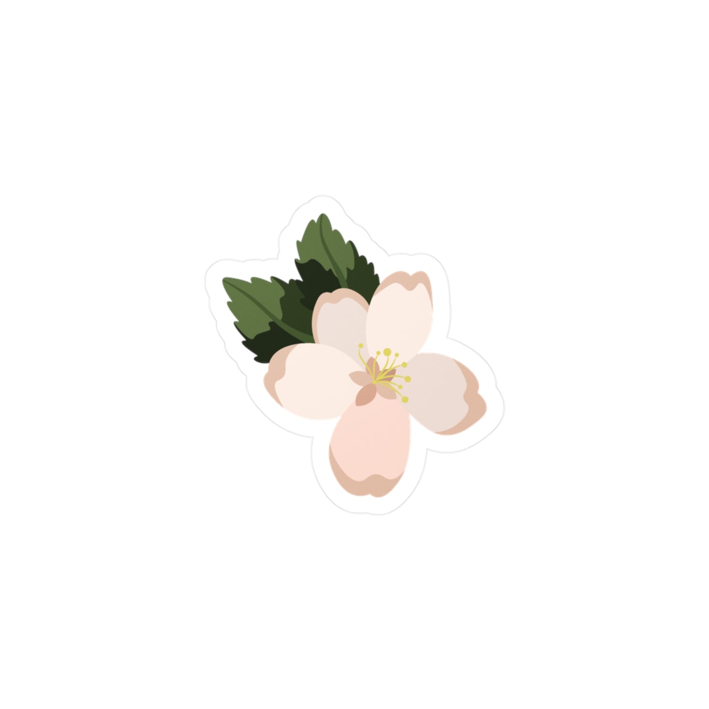 Michigan's State Flower-Apple Blossom